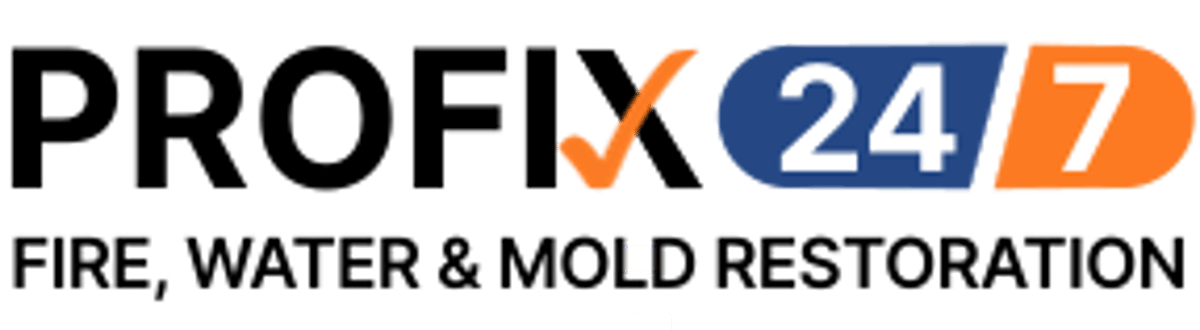 Profix 24/7 Logo