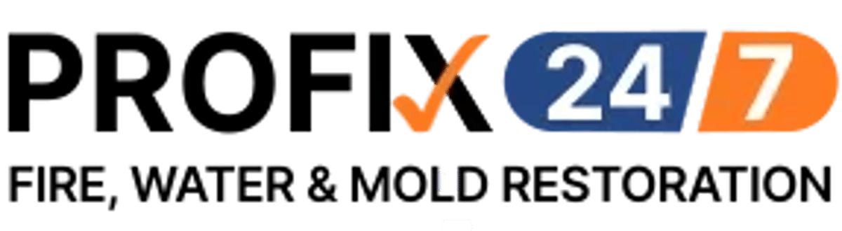 Profix 24/7 Logo