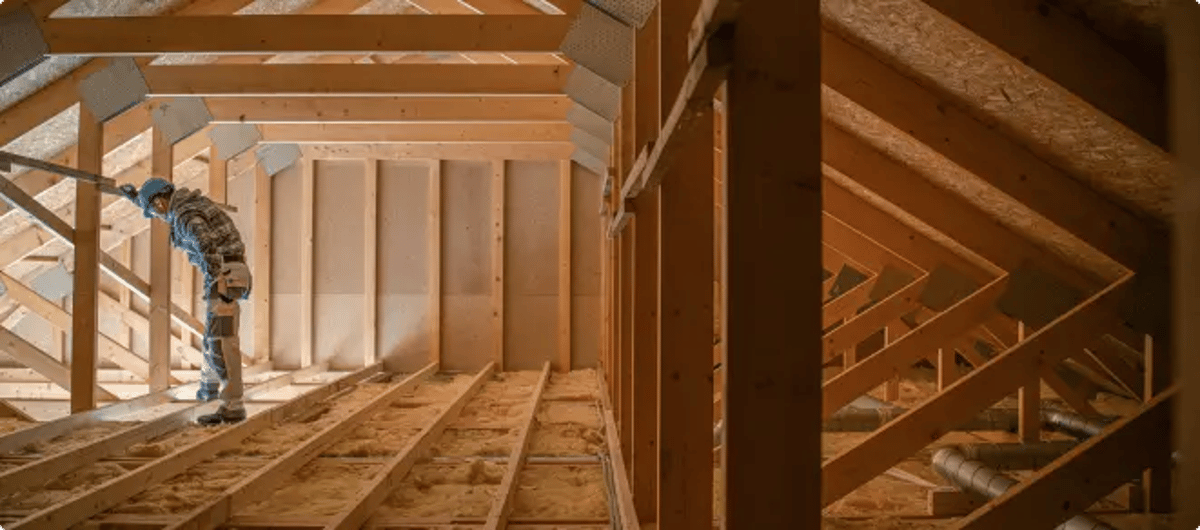 Attic expert inspection